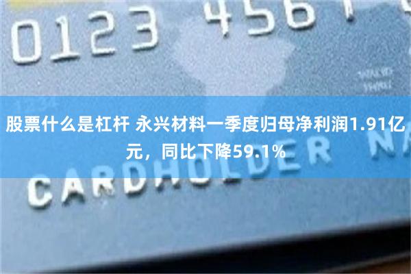 股票什么是杠杆 永兴材料一季度归母净利润1.91亿元，同比下降59.1%