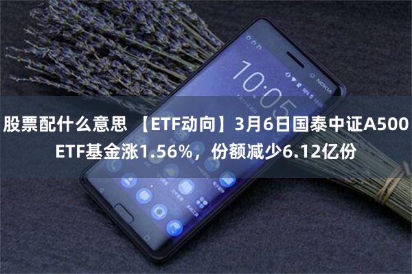 股票配什么意思 【ETF动向】3月6日国泰中证A500ETF基金涨1.56%，份额减少6.12亿份