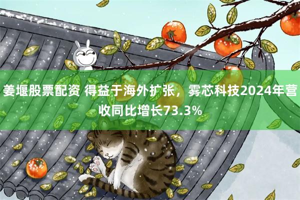 姜堰股票配资 得益于海外扩张，雾芯科技2024年营收同比增长73.3%