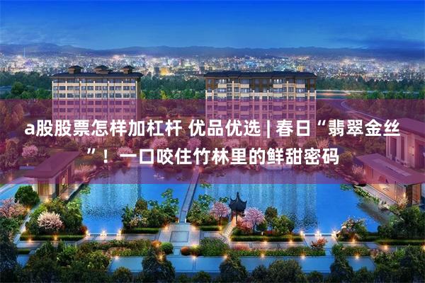 a股股票怎样加杠杆 优品优选 | 春日“翡翠金丝”！一口咬住竹林里的鲜甜密码