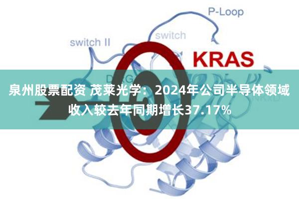 泉州股票配资 茂莱光学：2024年公司半导体领域收入较去年同期增长37.17%