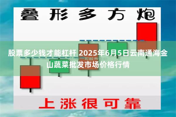 股票多少钱才能杠杆 2025年6月5日云南通海金山蔬菜批发市场价格行情