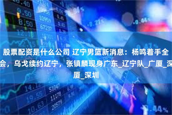 股票配资是什么公司 辽宁男篮新消息：杨鸣着手全运会，乌戈续约辽宁，张镇麟现身广东_辽宁队_广厦_深圳