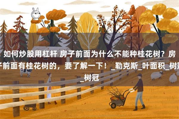如何炒股用杠杆 房子前面为什么不能种桂花树？房子前面有桂花树的，要了解一下！_勒克斯_叶面积_树冠