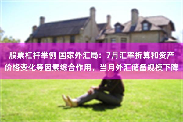 股票杠杆举例 国家外汇局：7月汇率折算和资产价格变化等因素综合作用，当月外汇储备规模下降
