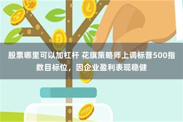 股票哪里可以加杠杆 花旗策略师上调标普500指数目标位，因企业盈利表现稳健
