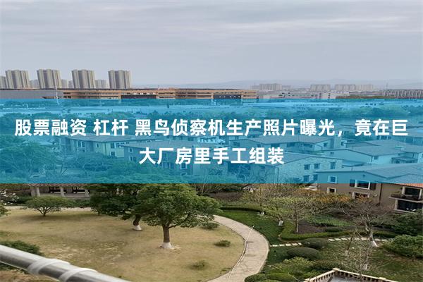 股票融资 杠杆 黑鸟侦察机生产照片曝光，竟在巨大厂房里手工组装