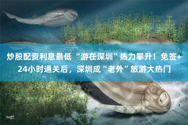 炒股配资利息最低 “游在深圳”热力攀升!免签+24小时通关后,深圳成“老外”旅游大热门