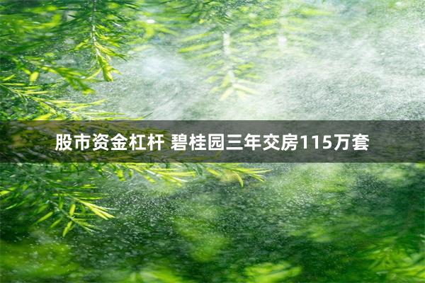 股市资金杠杆 碧桂园三年交房115万套