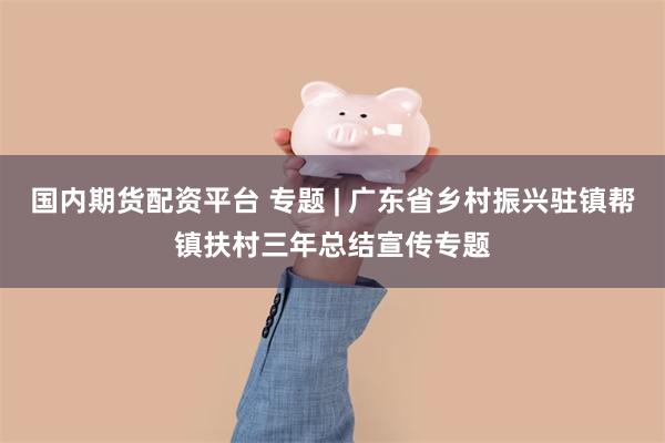 国内期货配资平台 专题 | 广东省乡村振兴驻镇帮镇扶村三年总结宣传专题