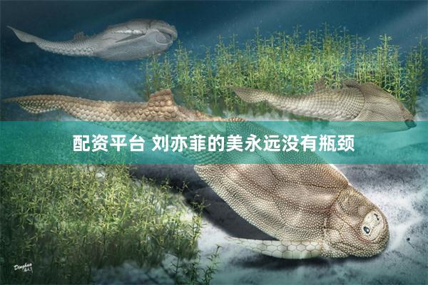 配资平台 刘亦菲的美永远没有瓶颈
